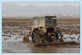 A tractor in the rice field