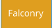 Falconry
